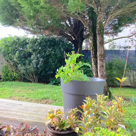 Maison Centre Avec Jardin , Terrasse, Et Garage Velos * La Rochelle (Charente-Maritime)